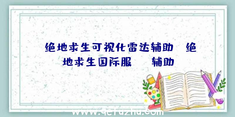 「绝地求生可视化雷达辅助」|绝地求生国际服pc